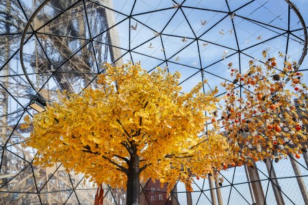 Photo of the 2025 Autumn Terrace