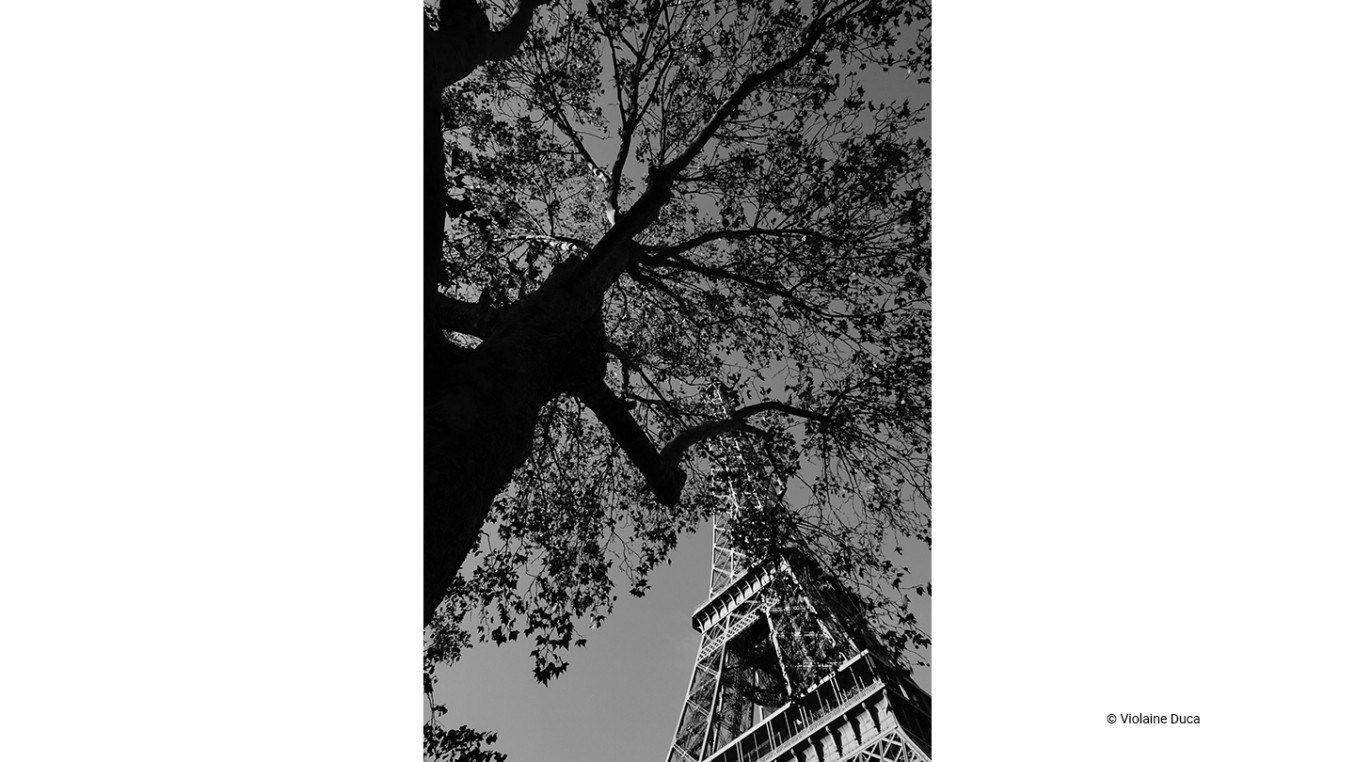 Photo contest winner 9